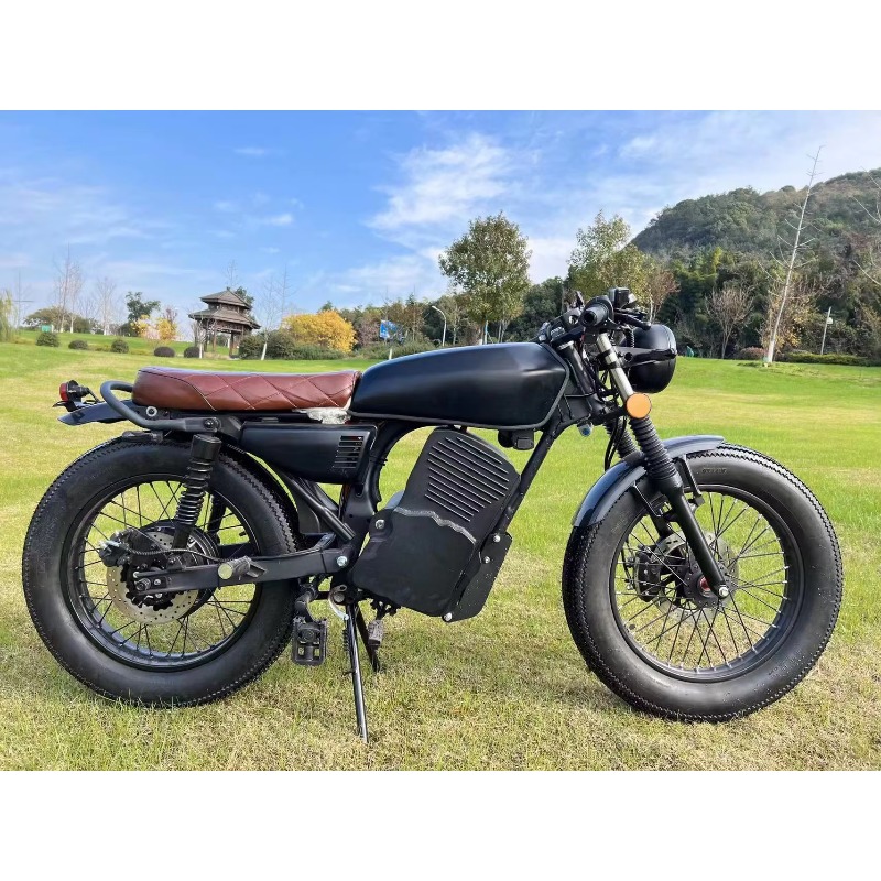 Venda Direta da Fábrica Lvyuan - Electric Scooter Adults avaliação e preço