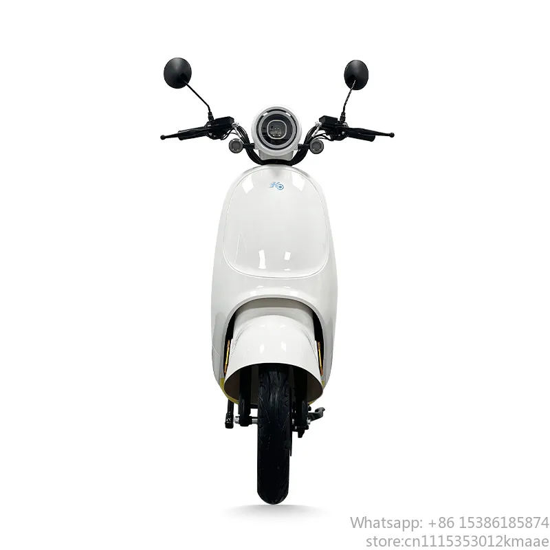 Bicicleta elétrica de 1200W, m - Electric Scooter Adults avaliação e preço